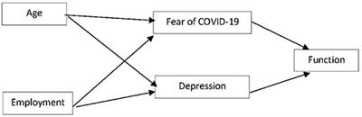 Predicting Individual Function During COVID-19 Lockdown: Depression, Fear of COVID-19, Age, and Employment